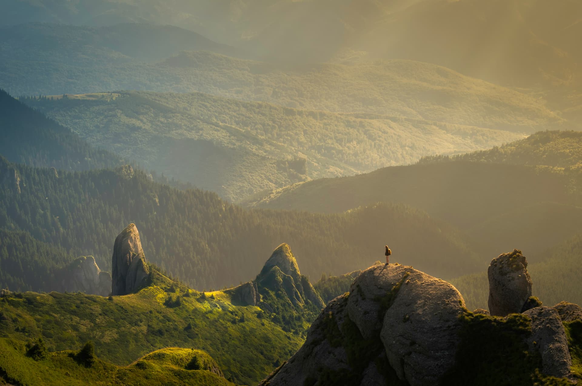 Green valley with hiker on top of a rock.